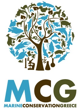 52_MCG_colour