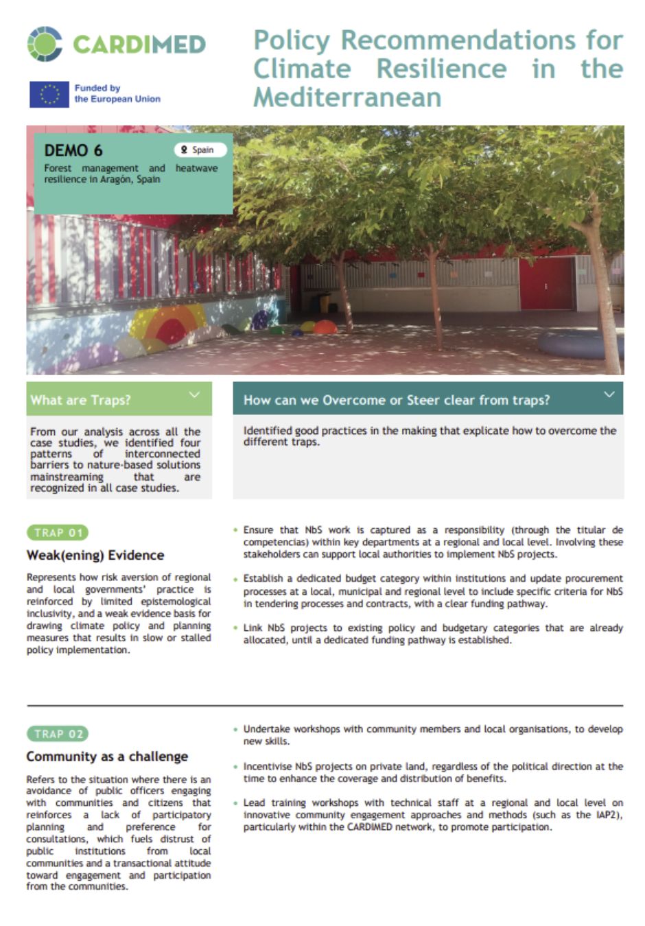 CARDIMED Policy Brief Demo 6_cover