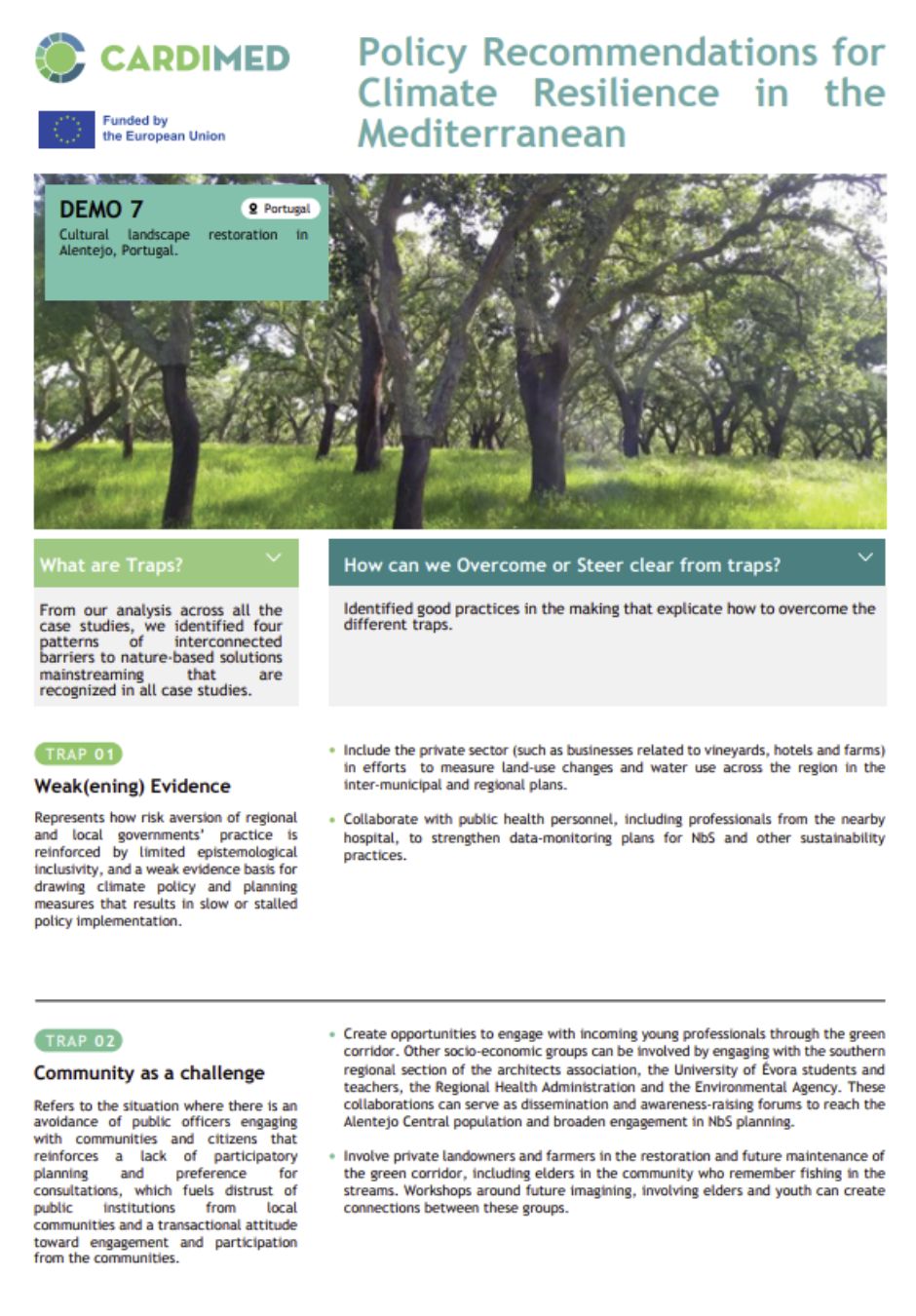 CARDIMED Policy Brief Demo 7_cover