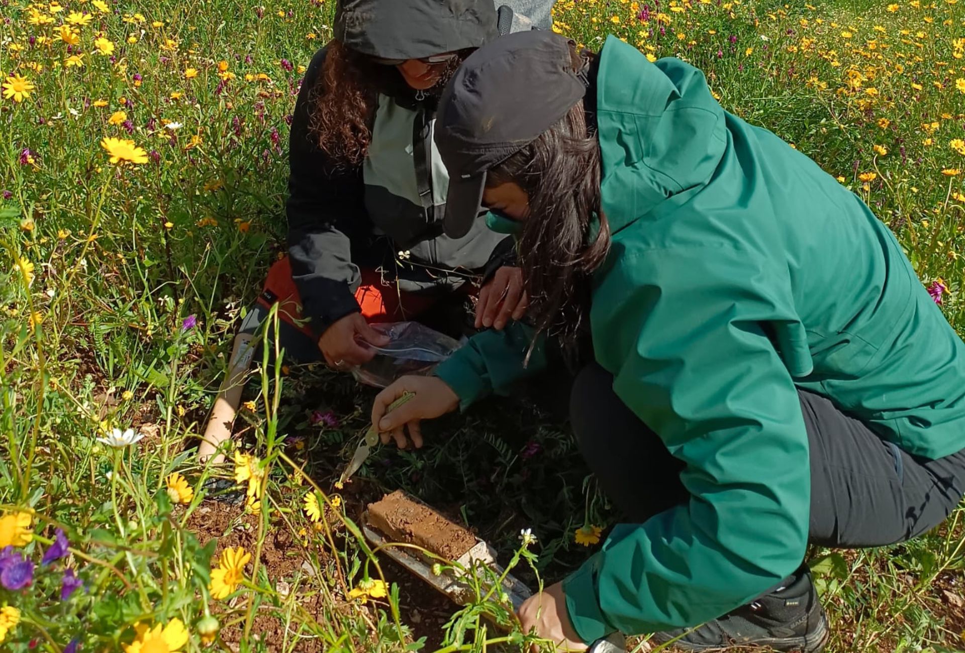 Cardimed Project Climate Resilience & NBS | Cardimed